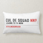 Cul De Squad  Pillows (Lumbar)