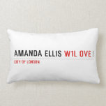 Amanda Ellis  Pillows (Lumbar)