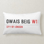 Owais beig  Pillows (Lumbar)