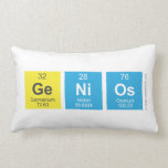 genios  Pillows (Lumbar)