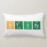 Study  Pillows (Lumbar)