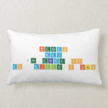 Brendan
 May
 2nd Grade CP
 Ms. Miller's Class  Pillows (Lumbar)