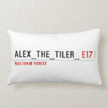 alex_the_tiler_  Pillows (Lumbar)