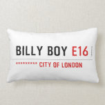 Billy boy  Pillows (Lumbar)
