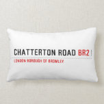 Chatterton Road  Pillows (Lumbar)