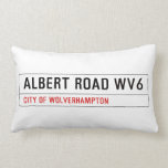 Albert Road  Pillows (Lumbar)