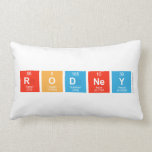 Rodney  Pillows (Lumbar)
