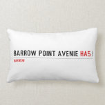 Barrow Point Avenie  Pillows (Lumbar)