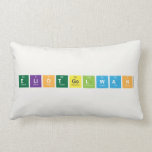 EliotGelwan  Pillows (Lumbar)