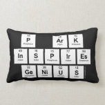 P aRK
 INSPIRES
 GENIUS  Pillows (Lumbar)
