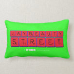 JayBeauty
 Street  Pillows (Lumbar)