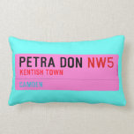 petra don  Pillows (Lumbar)