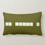SW Legacy HS  Pillows (Lumbar)