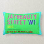 JayBeauty Street  Pillows (Lumbar)