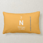 N  Pillows (Lumbar)