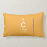 C  Pillows (Lumbar)