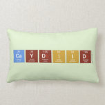 CAYDIID  Pillows (Lumbar)