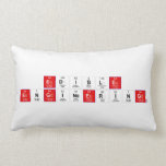 Edible
 Engi|nee|ri|ng  Pillows (Lumbar)