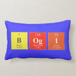 Bogi  Pillows (Lumbar)