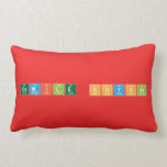 Cemile SOYSAL  Pillows (Lumbar)