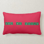 OUT OF OFFICE  Pillows (Lumbar)