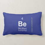 BE  Pillows (Lumbar)