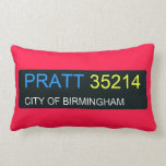 PRATT  Pillows (Lumbar)