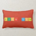 Buone Feste  Pillows (Lumbar)