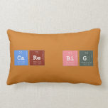 CARE BIG  Pillows (Lumbar)