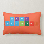 TAKTiK YAYINLARI   Pillows (Lumbar)