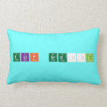 Elif ERGÜL   Pillows (Lumbar)