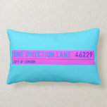 One Direction Lane   Pillows (Lumbar)