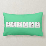  Peyton  Pillows (Lumbar)