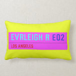 evrleigh r  Pillows (Lumbar)