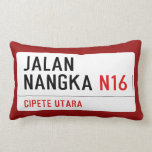 JALAN NANGKA  Pillows (Lumbar)