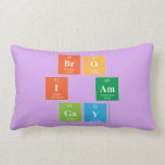 Bro
 I am
 Gay  Pillows (Lumbar)