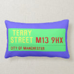  terry Street  Pillows (Lumbar)