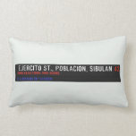  Ejercito st., poblacion, sibulan  Pillows (Lumbar)