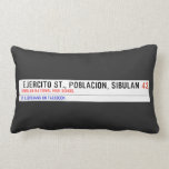  Ejercito st., poblacion, sibulan  Pillows (Lumbar)