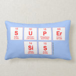 Super
 sis  Pillows (Lumbar)
