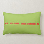 All About Elements !  Pillows (Lumbar)
