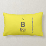 B  Pillows (Lumbar)
