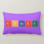 ROBERT  Pillows (Lumbar)