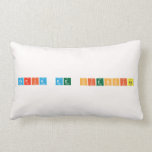 feria de ciencias  Pillows (Lumbar)
