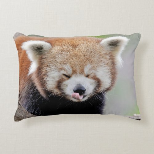 Pillows photo red panda Panda roux Animals