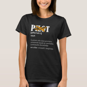 Pilot Airplane Aviation Pilot Aeroplane Men Women T-Shirt