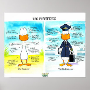 Funny Pilot Cartoons Posters & Prints | Zazzle
