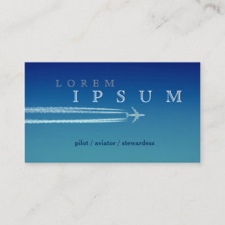 Pilot Aviator Stewardess Plane Sky Fly Air Post Business Card