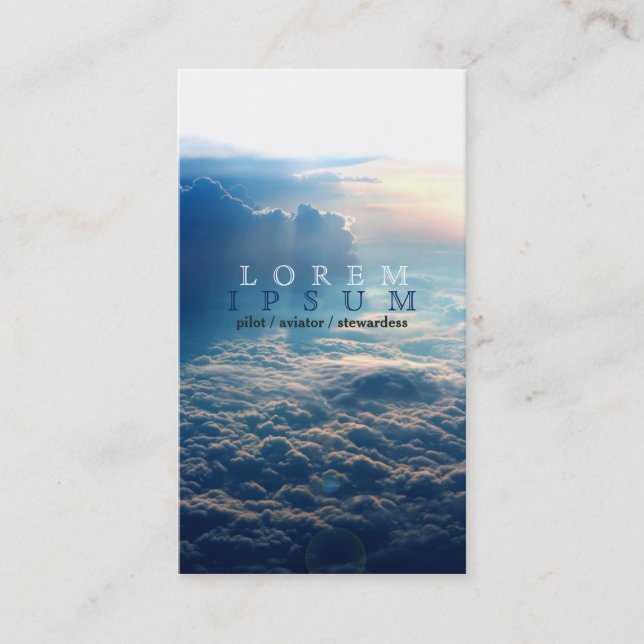 Pilot Aviator Stewardess Plane Sky Fly Post Business Card (Front)