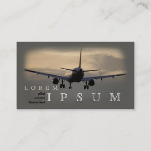 Pilot Aviator Stewardess Plane Sky Trip Fly Business Card
